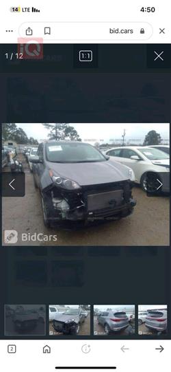 كيا سبورتاج